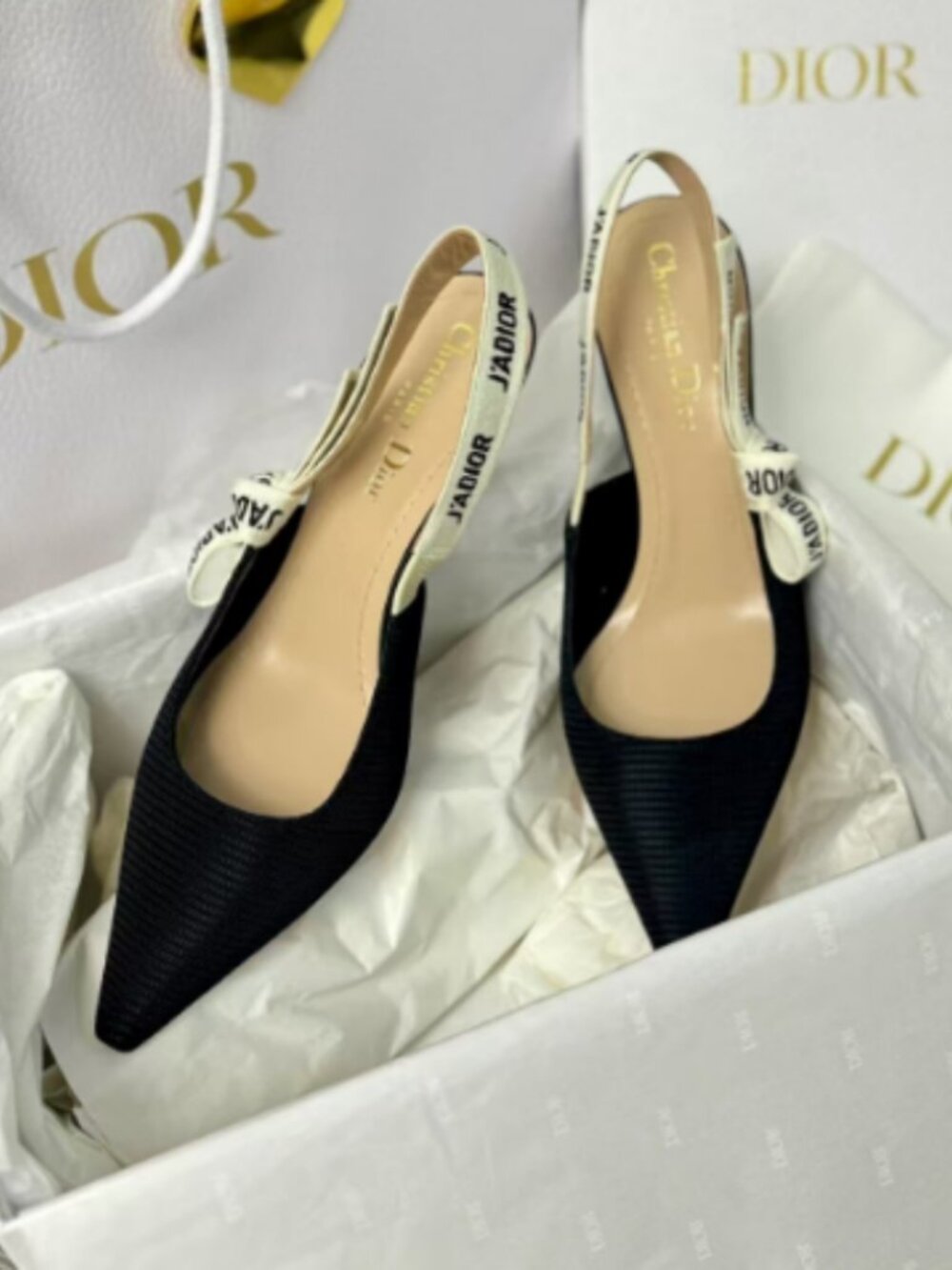 Dior Pointed Slingback Pumps